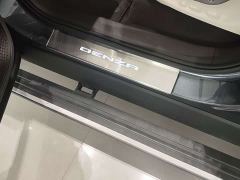Denza N9 Flagship - ფოტო 12