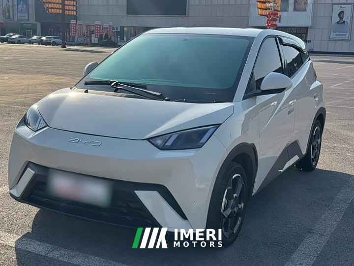 BYD Seagull Freedom Edition - car from China