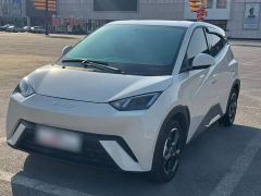 BYD Seagull Freedom Edition - photo 1