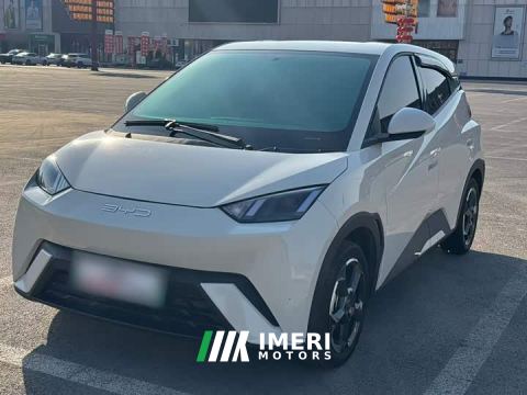 2024 BYD Seagull Freedom Edition - ავტომობილი ჩინეთიდან