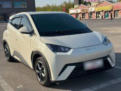 BYD Seagull Freedom Edition - photo 3