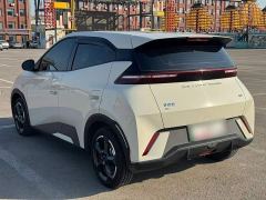BYD Seagull Freedom Edition - photo 4