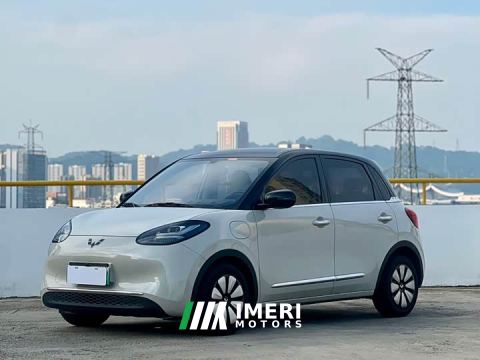 2024 Wuling Binguo 333km Joy Edition