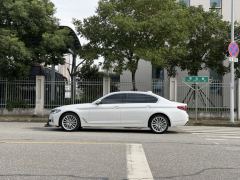BMW 5 Series Facelift 530Li Luxury Edition Premium Package - ფოტო 2