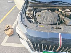 FAW Hongqi H5 Red Flag H5 2.0T Automatic Smart Connected Flagship Comfort Edition - photo 20