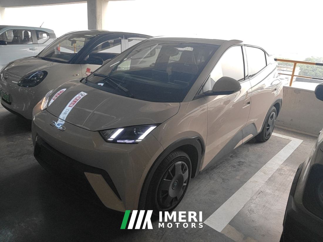 BYD Seagull 305km Vitality Edition - ავტომობილი ჩინეთიდან