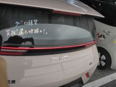 BYD Seagull 305km Vitality Edition - ფოტო 3