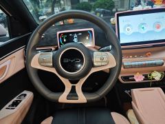 BYD Seagull 305km Vitality Edition - ფოტო 6