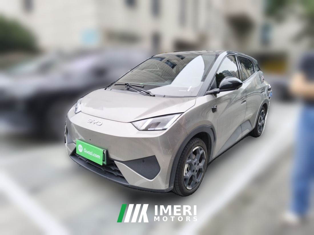 BYD Seagull Smart Drive Edition 305km Edition - ავტომობილი ჩინეთიდან