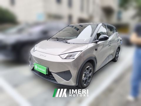 2025 BYD Seagull Smart Drive Edition 305km Edition - car from China
