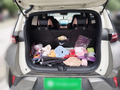 BYD Seagull Smart Drive Edition 305km Edition - ფოტო 15