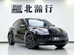 Tesla Model Y Long Range All-Wheel Drive - ფოტო 3