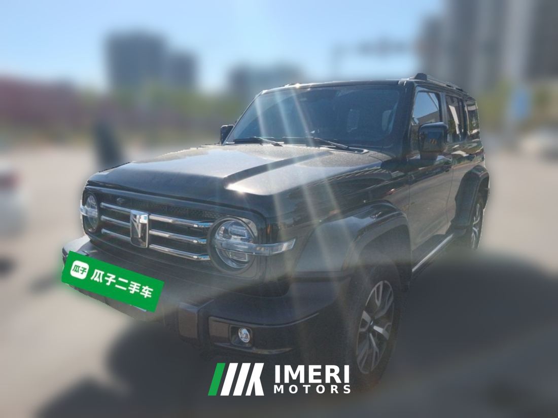 Tank 300 City Edition 2.0T Stylish - ავტომობილი ჩინეთიდან