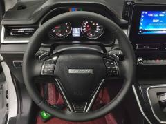 Haval M6 PLUS 1.5T DCT Luxury Smart Connected Edition - ფოტო 10