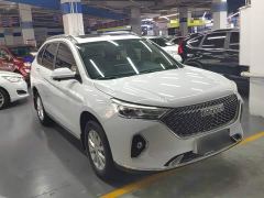 Haval M6 PLUS 1.5T DCT Luxury Smart Connected Edition - ფოტო 3
