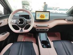 BYD Seagull 305km Freedom Edition - photo 9
