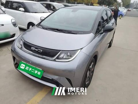 2022 BYD Dolphin 405km Fashion Edition - car from China