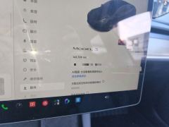 Tesla Model 3 556km Rear-Wheel Drive Edition - ფოტო 13
