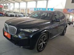 BMW X5 xDrive 30Li M Sport Premium Package - фото 1