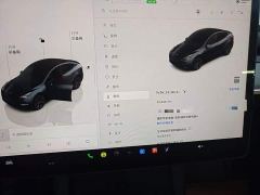 Tesla Model Y Rear-Wheel Drive - ფოტო 11