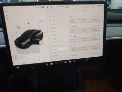 Tesla Model Y Rear-Wheel Drive - ფოტო 12