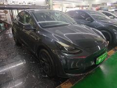 Tesla Model Y Rear-Wheel Drive - ფოტო 3