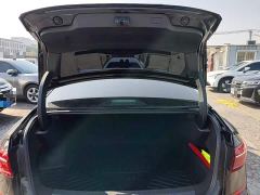 Volkswagen Passat 330TSI Starry Sky Elite - фото 18