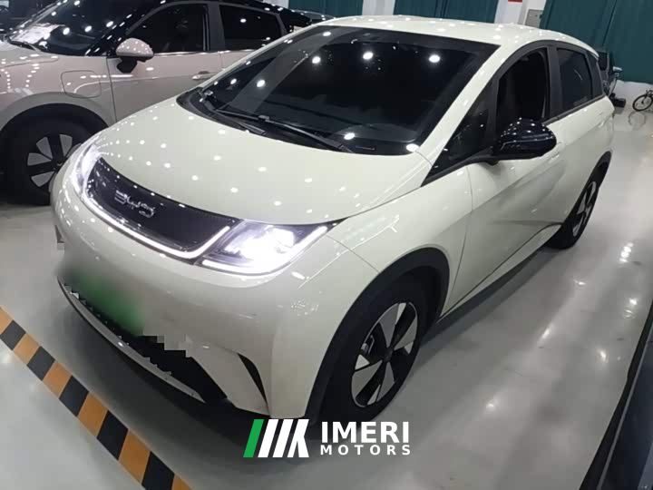 BYD Dolphin 50Anniversary EditionPro - автомобиль из Китая