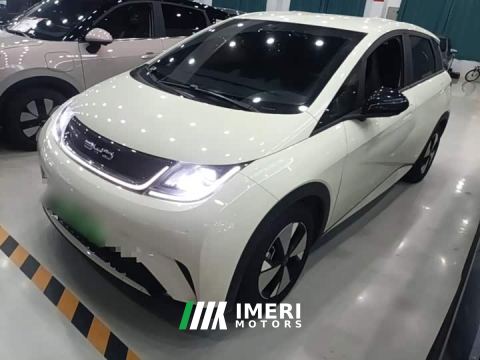 2024 BYD Dolphin 50Anniversary EditionPro - car from China