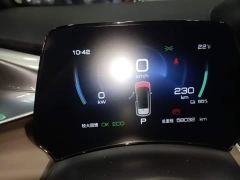 BYD Dolphin 50Anniversary EditionPro - фото 11