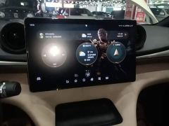 BYD Dolphin 50Anniversary EditionPro - фото 12