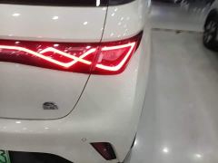 BYD Dolphin 50Anniversary EditionPro - фото 7