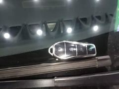 BYD Dolphin 50Anniversary EditionPro - фото 8