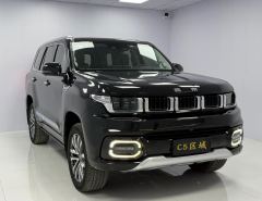 Beijing Auto BJ60 Off-RoadBJ60 2.0T Edition 5 - photo 3