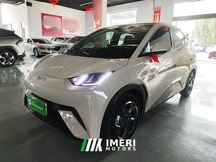BYD Seagull 305km Freedom Edition - ავტომობილი ჩინეთიდან