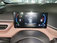 BYD Seagull 305km Freedom Edition - ფოტო 11
