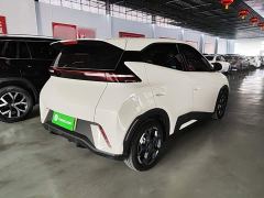 BYD Seagull 305km Freedom Edition - ფოტო 6