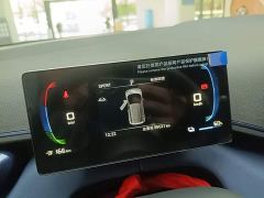 BYD Seagull Glory Edition 305km Vitality Version - ფოტო 11