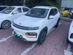 Dongfeng Nano BOX Chasing Wind Edition 331KM Standard - photo 1