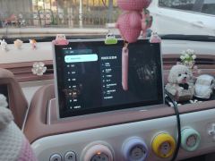 Bestune Besturn Pony Xiaoma 222km Colorful Edition - ფოტო 17