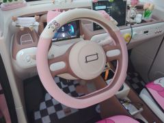 Bestune Besturn Pony Xiaoma 222km Colorful Edition - ფოტო 18