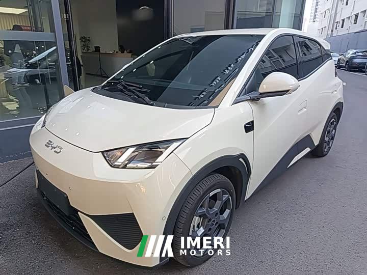 BYD Seagull Smart Drive 405km Flight Edition - ავტომობილი ჩინეთიდან