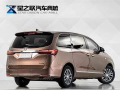 Buick GL8 Land Business Class 652T Luxury - фото 6