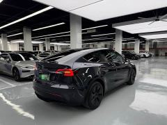 Tesla Model Y Rear-Wheel Drive - photo 15