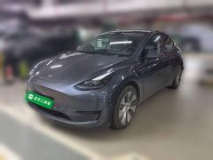 Tesla Model Y Rear-Wheel Drive - фото 1