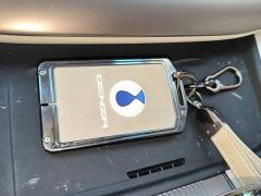 Denza D9 DM-i 970 AWD Flagship - фото 8