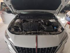 FAW Red Flag H6 2.0T Zhiyì Edition - ფოტო 19