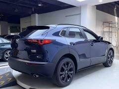Mazda CX-30 2.0L Automatic Radiant Pleasure Black Obsidian Edition - фото 6