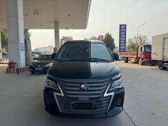 Dongfeng Lingzhi Facelift Struggle M5L 2.0L Base 9-seater - photo 10