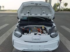 SAIC Corey Wei CLEVER 302km Excellence Edition - ფოტო 19